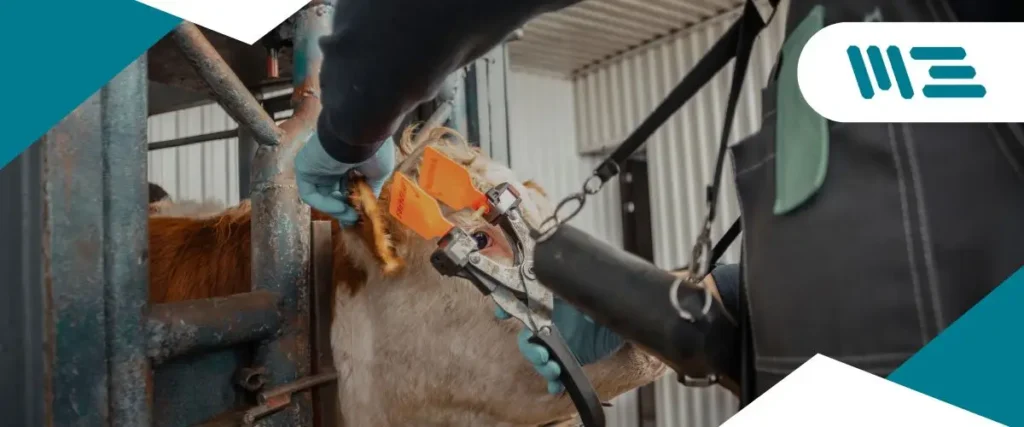 ¿Qué es la Trazabilidad en la Industria Alimentaria y Por Qué es Crucial para la Seguridad de los Alimentos? La trazabilidad es más que un término técnico; es una herramienta poderosa que garantiza que cada paso en la cadena de suministro de alimentos esté bajo control, desde la materia prima hasta el producto final.