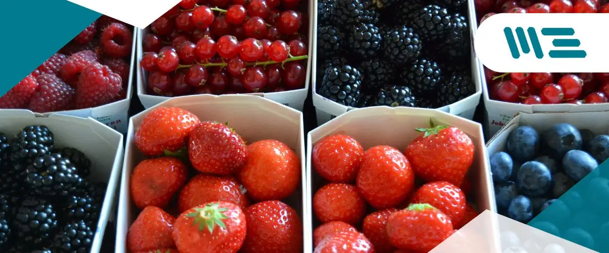 Por-Que-Son-Cruciales-las-Certificaciones-en-la-Industria-de-Frutas-y-Hortalizas