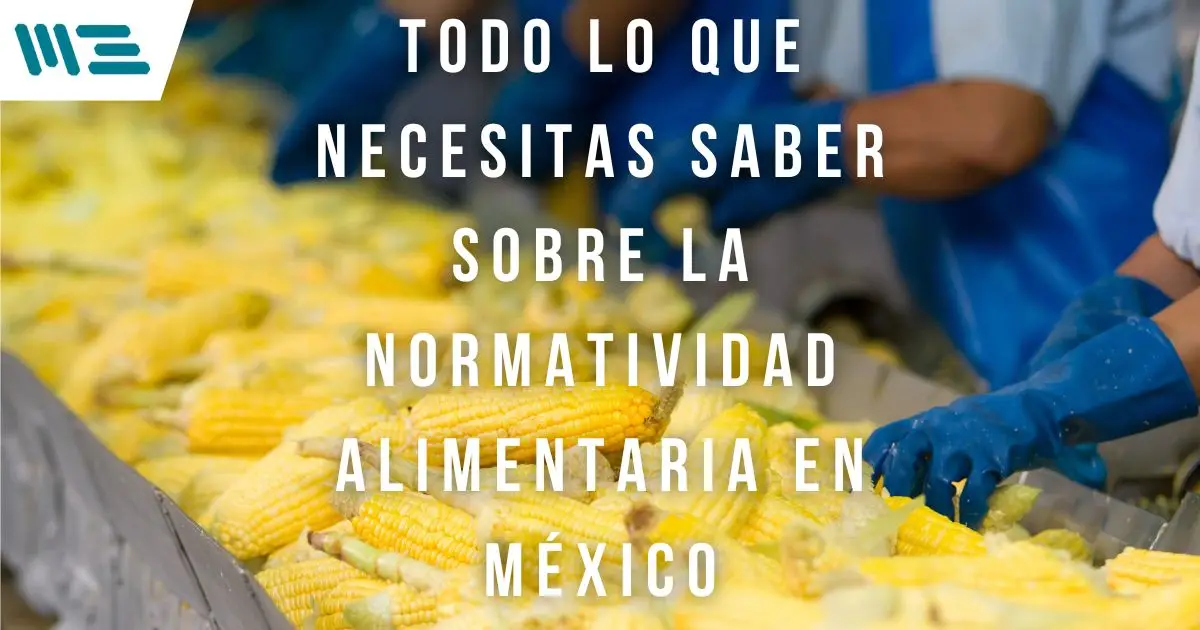 Todo lo que Necesitas Saber Sobre la Normatividad Alimentaria en México