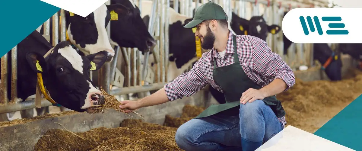 Transforma tu Negocio con Certificaciones Clave Transforma tu Negocio con Certificaciones Clave