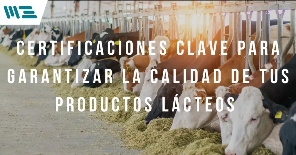 Certificaciones clave para garantizar la calidad de tus productos lácteos a nivel internacional