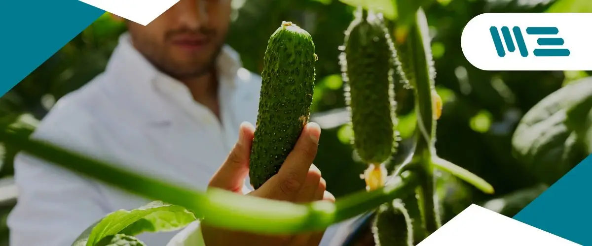 Certificación-FSSC-22000 Todo esto es posible con la certificación FSSC 22000. Este estándar internacional no solo garantiza la seguridad alimentaria y la calidad de productos, sino que también abre puertas a oportunidades comerciales globales.