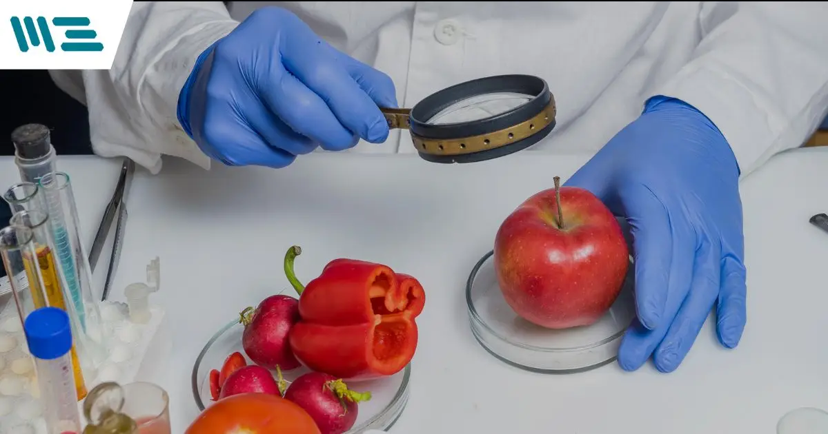 Elige la Certificación Alimentaria Perfecta para tu Negocio y Mejora la Calidad y Seguridad de tus Productos