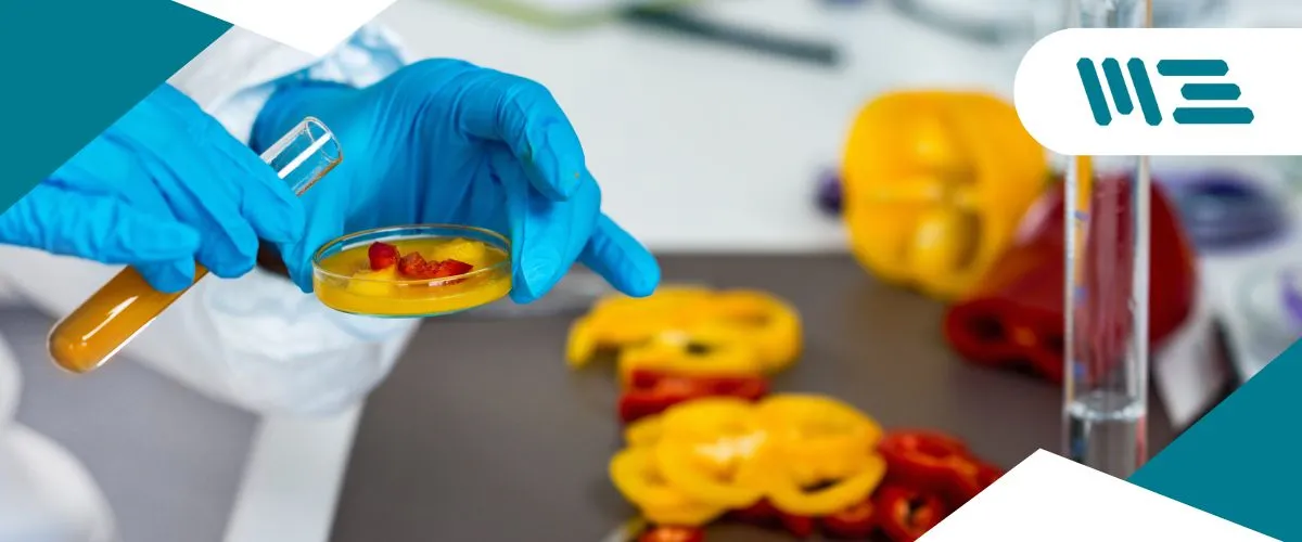 La-importancia-de-las-certificaciones-alimentarias-1-1