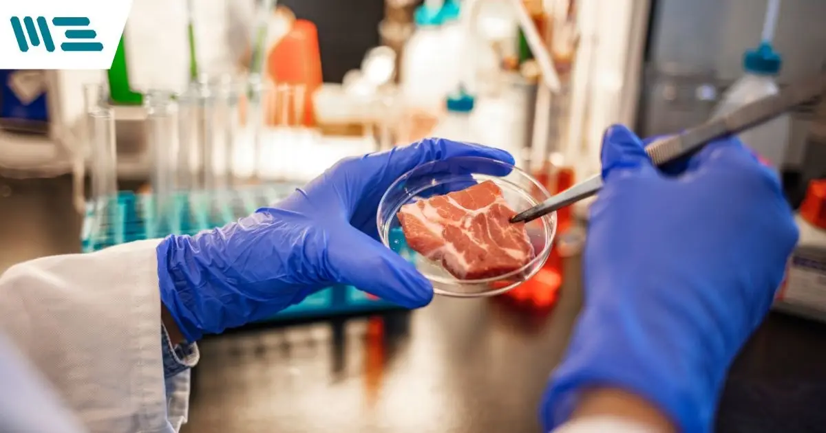 ¿Cómo Obtener la Certificación en Global Markets y Maximizar la Rentabilidad de tu Empresa Alimentaria?