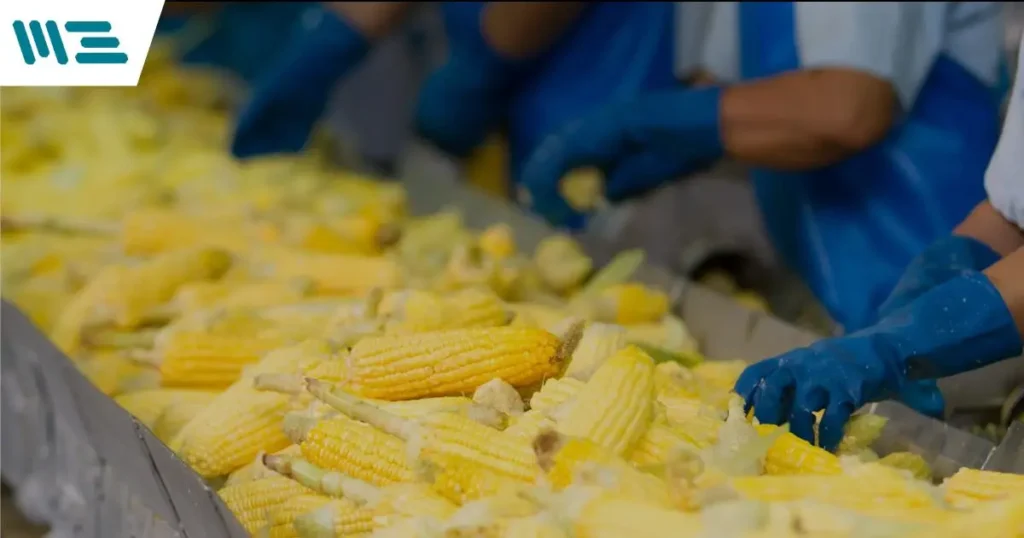 La certificación HACCP es crucial para cualquier empresa alimentaria que busque asegurar la seguridad alimentaria, mejorar la confianza del cliente y cumplir con los requisitos normativos.