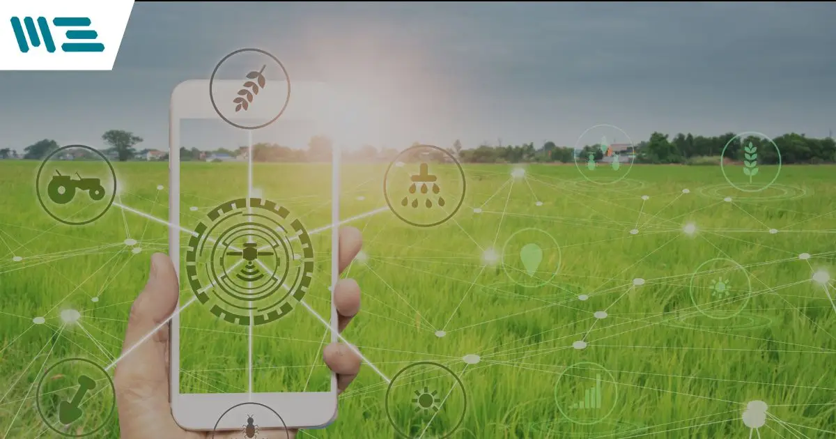 ¿Qué es la Trazabilidad en la Industria Alimentaria y Por Qué es Crucial para la Seguridad de los Alimentos?