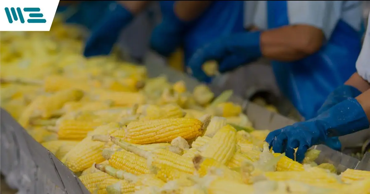 Preparación Integral para la Auditoría de Certificación HACCP en una Planta de Procesamiento de Alimentos