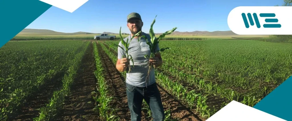 Sun View, para optimizar sus procesos productivos, implementar sistemas de gestión y obtener las certificaciones que aseguran su éxito en mercados nacionales e internacionales.