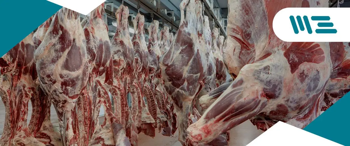 Conservadores Alimentarios Seguros y Efectivos La elección adecuada de conservadores alimentarios garantiza la vida útil prolongada y la seguridad de tus productos.