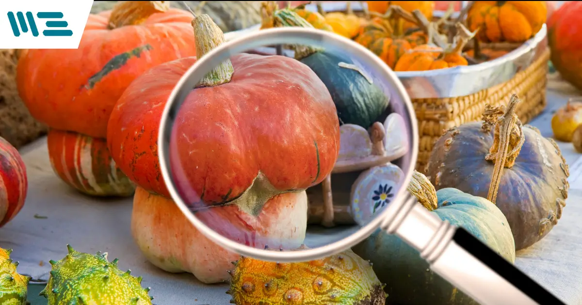 PCC: ¿Cómo identificar, establecer y monitorear los Puntos Críticos de Control en la industria alimentaria?