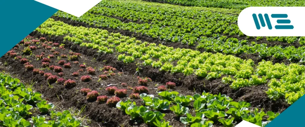 verificación de documentación y trazabilidad en planta orgánica para certificación USDA-NOP.