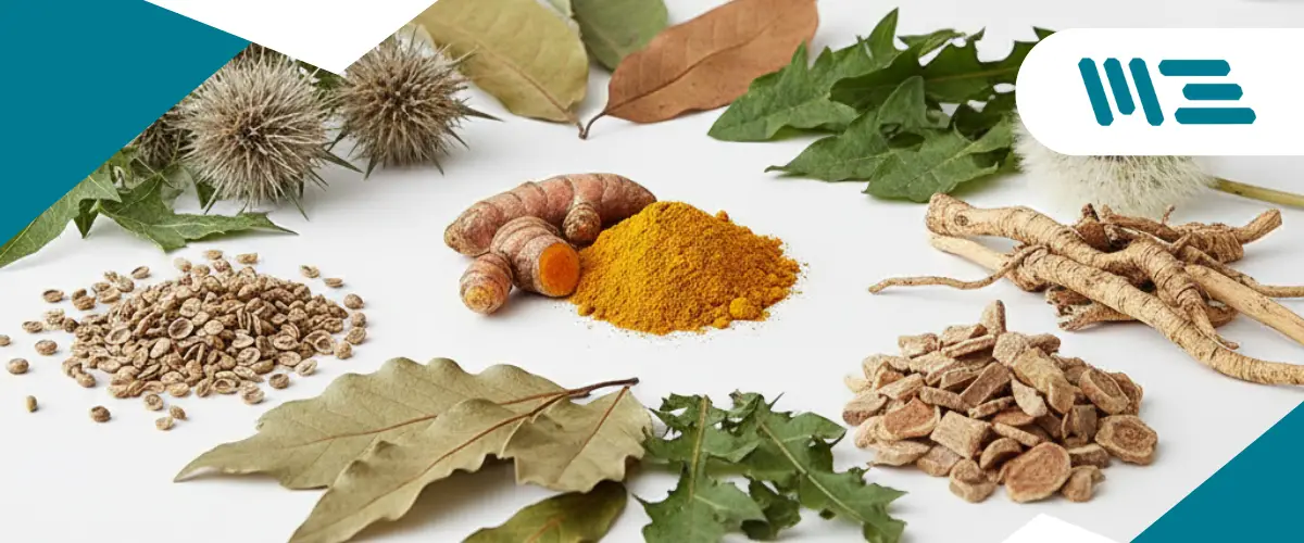 ingredientes-botanicos-naturales-alimentos-para-mascotas-fda-aafco cúrcuma, cardo mariano, diente de león y otras plantas botánicas utilizadas en alimentos naturales para mascotas, conforme a fda y aafco